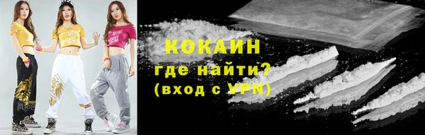PSILOCYBIN Горняк