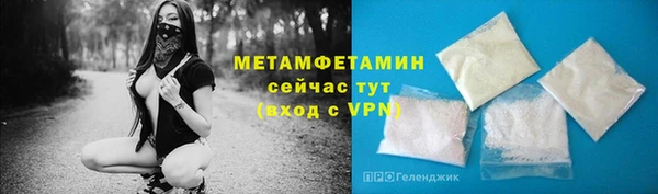 прущие грибы Вяземский