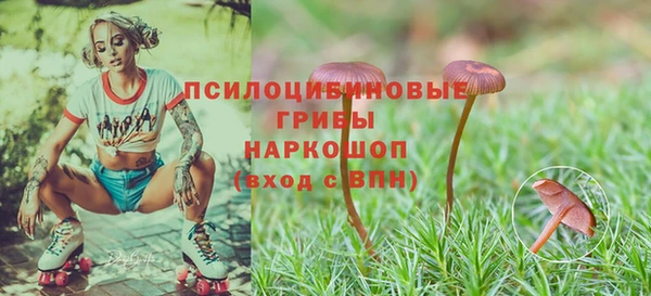 PSILOCYBIN Горняк