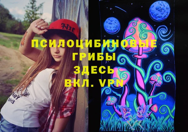 PSILOCYBIN Горняк