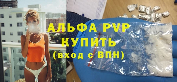 PSILOCYBIN Горняк