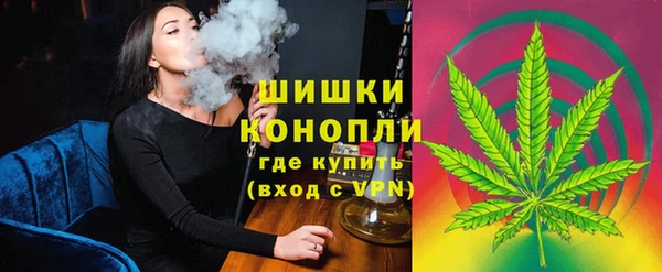 PSILOCYBIN Горняк