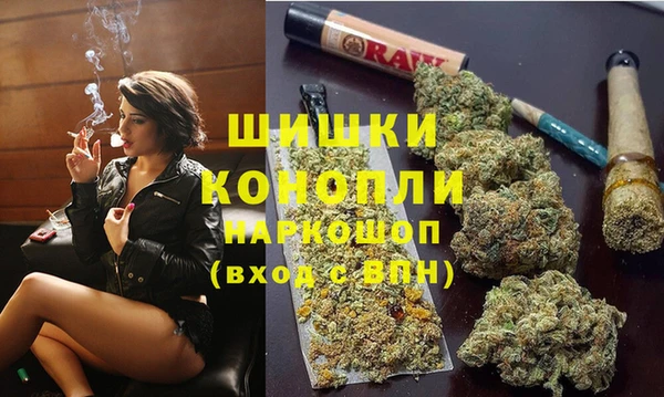 прущие грибы Вяземский
