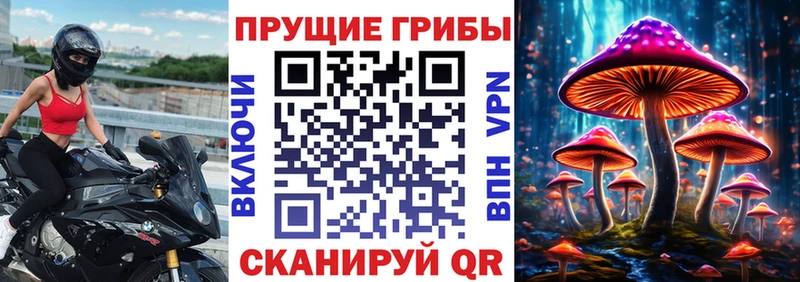 Галлюциногенные грибы Cubensis  Камызяк 